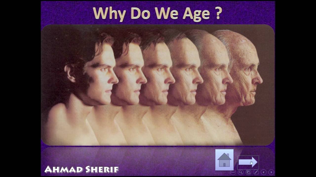 Why do we age?